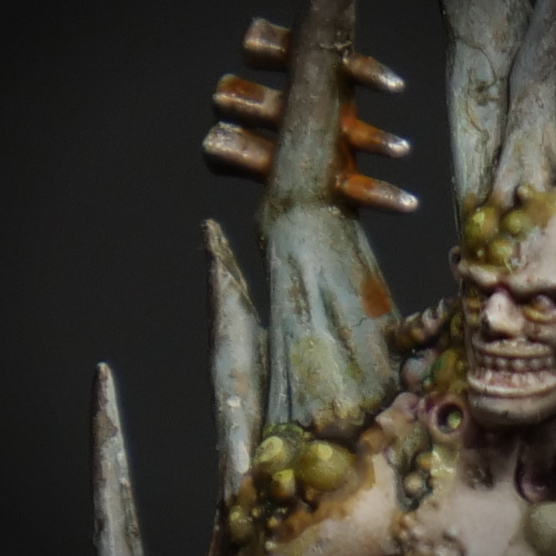 P1022847_02 Bony Growths